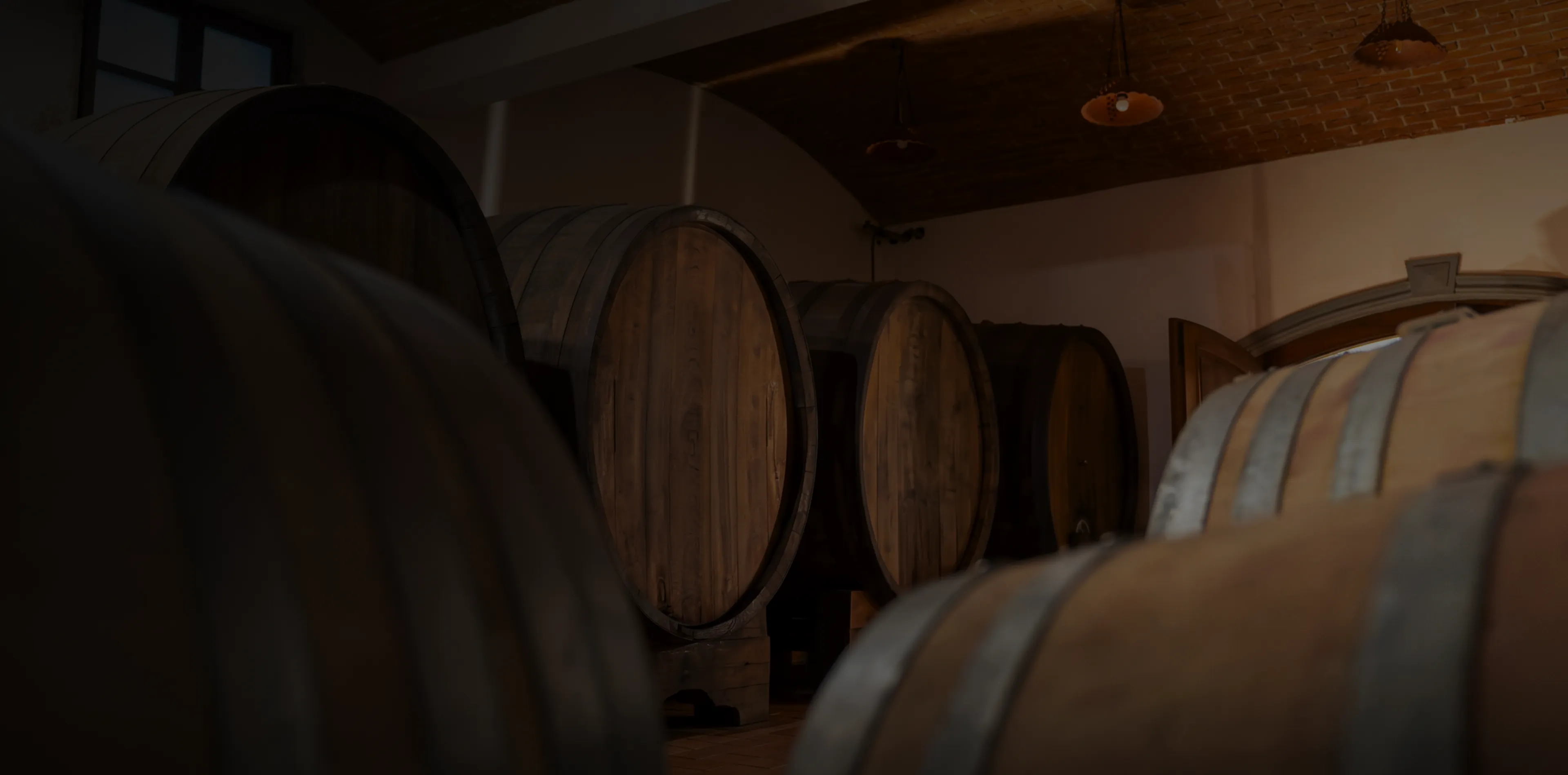 Jarkovič winemaker telling guests about the wines during a guided tasting in the cellar